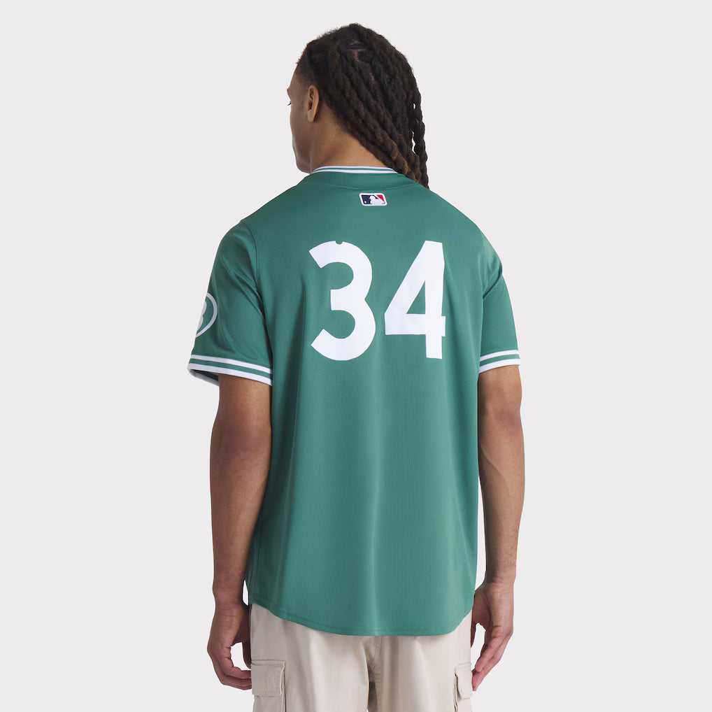 Men’s Boston Red Sox David Ortiz Nike Green 2025 Jersey Clanton Jacket