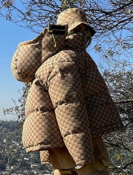 Billie Eilish The North Face Puffer Jacket Clanton Jacket